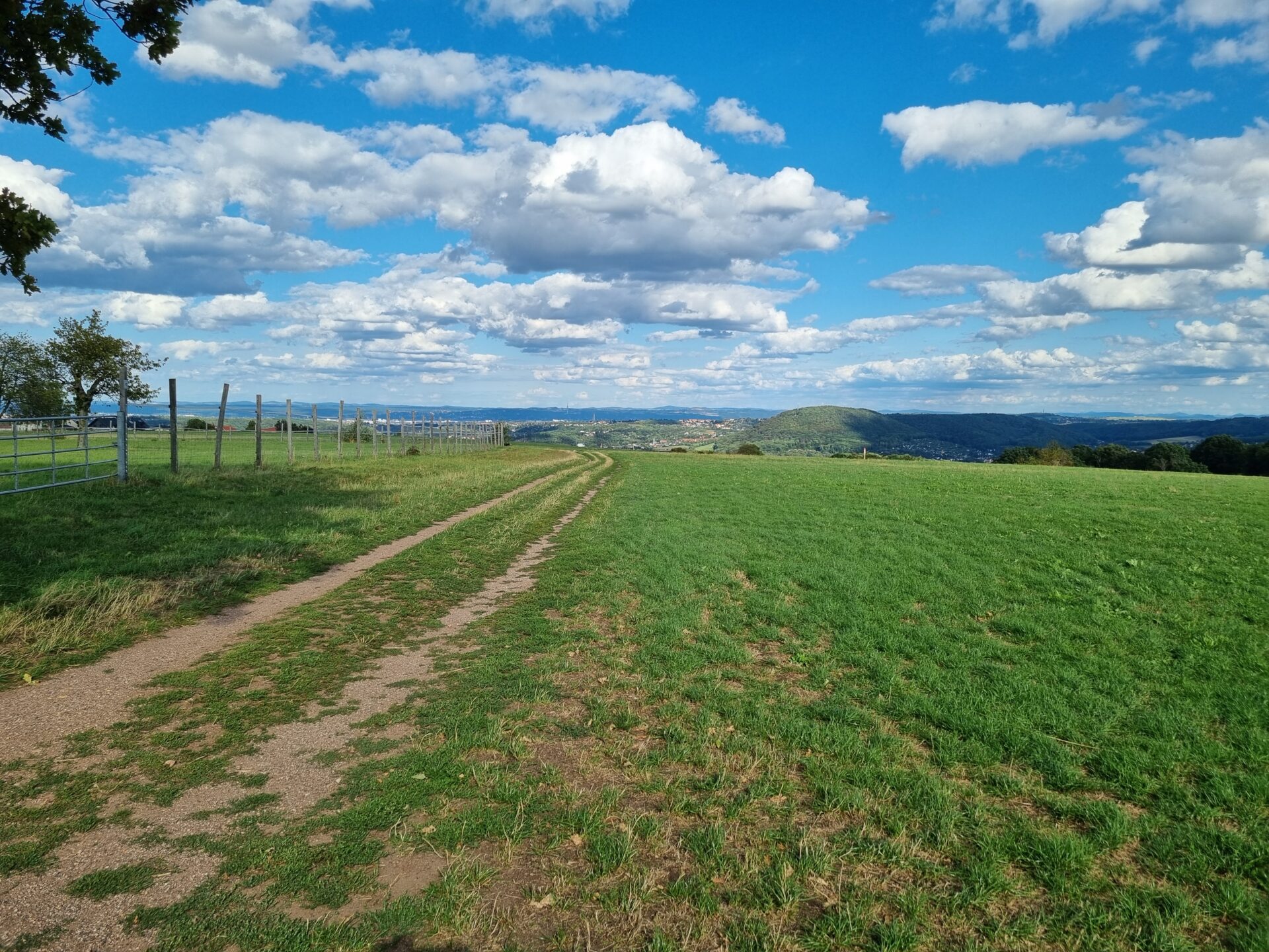 Landschaftsblick über die Sächsische Schweiz Osterzgebirge - René Leibnitz Immobilien